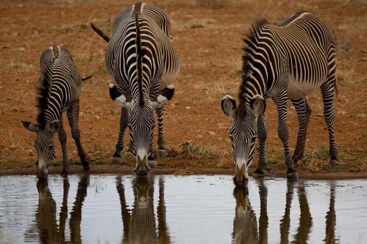 Samburu Sopa Lodge Archers Post Luaran gambar